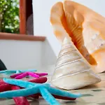 Apart Otel La Conchiglia 3*