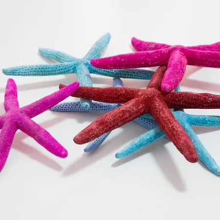 La Conchiglia Aparthotel