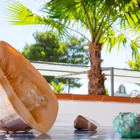 La Conchiglia 3* Vieste